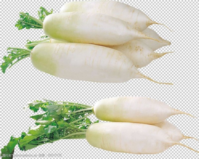 绿色食品底色白萝卜图片