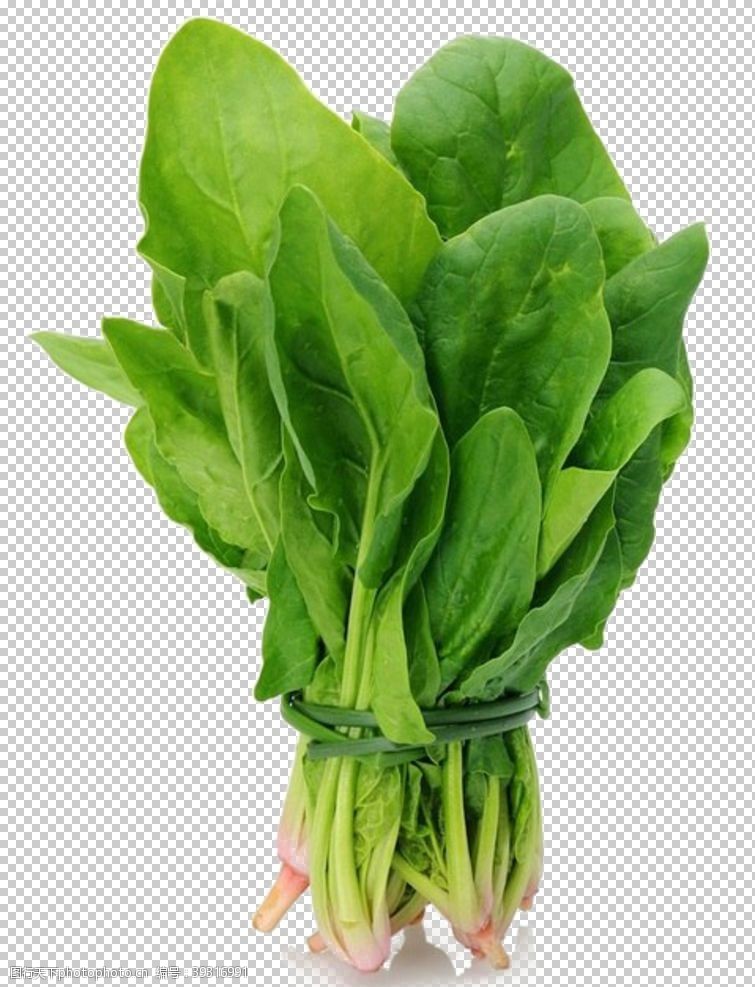 绿色凉爽菠菜图片