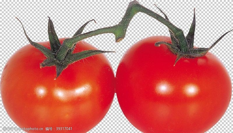 布丁广告番茄图片