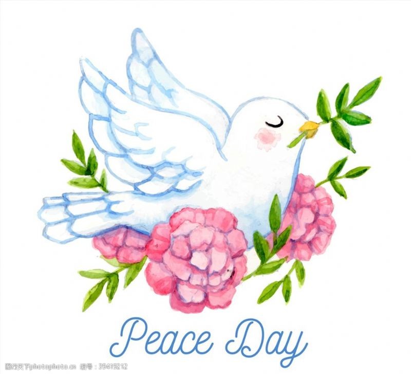 鸽子国际和平日白鸽图片