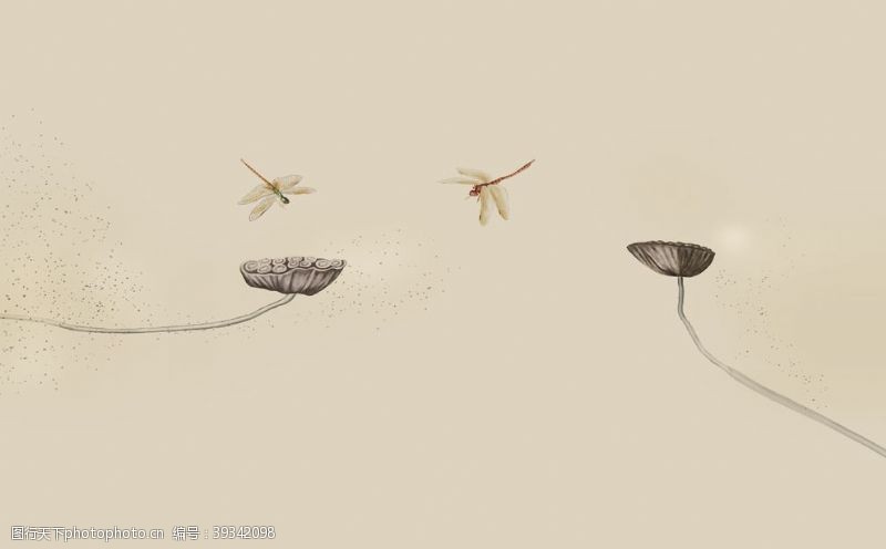 古色古香莲蓬蜻蜓图片