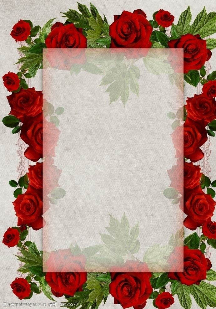 玫瑰养颜玫瑰花边框图片
