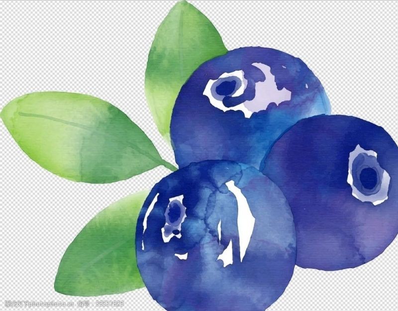水彩蓝莓免抠蓝莓手绘图片
