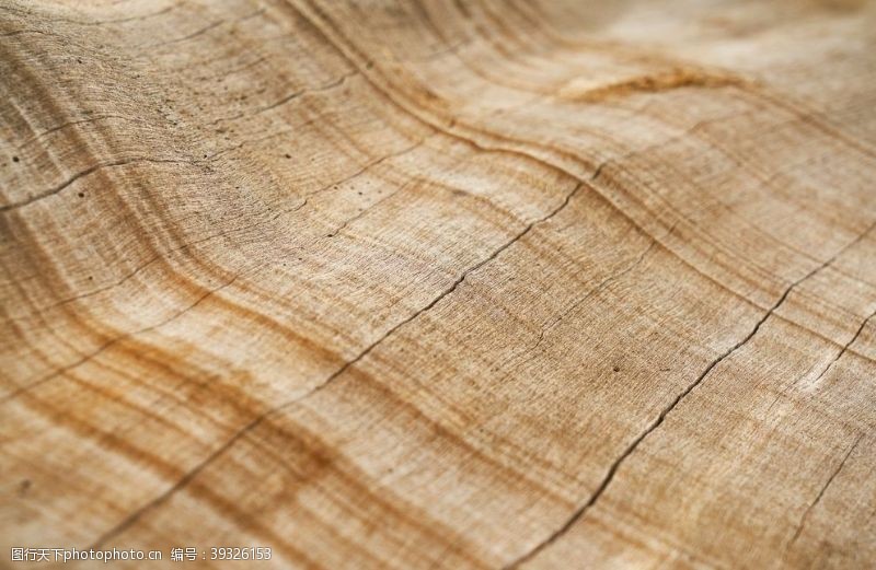 3d木纹木纹图片