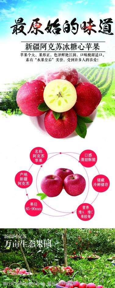 阿克苏苹果苹果海报图片