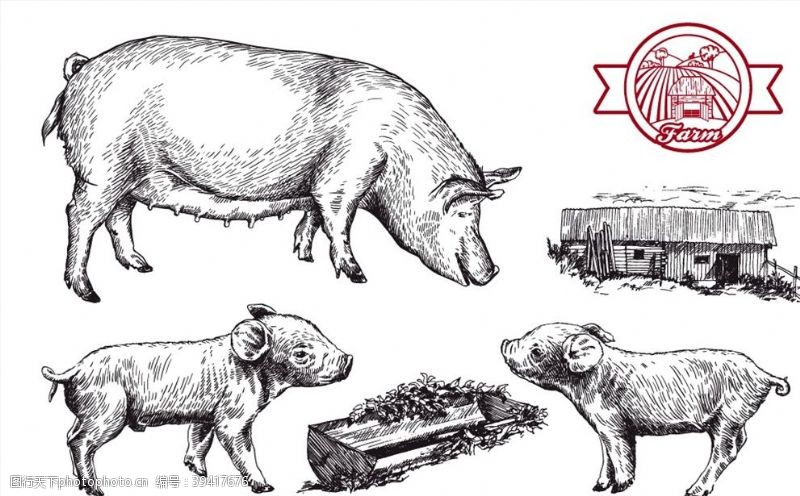 猪饲料手绘猪设计矢量图片