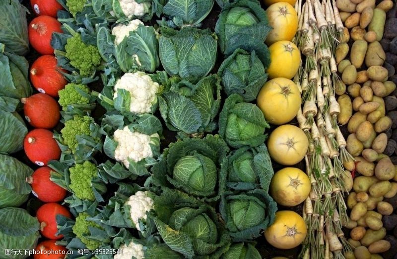 绿色饮食展架蔬菜图片
