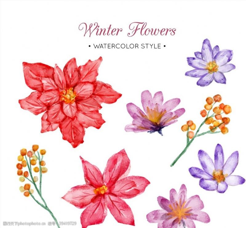 彩莲水彩绘冬季花朵图片