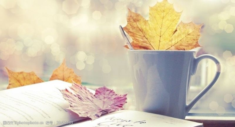 秋装摄影书上落叶装满咖啡杯图片