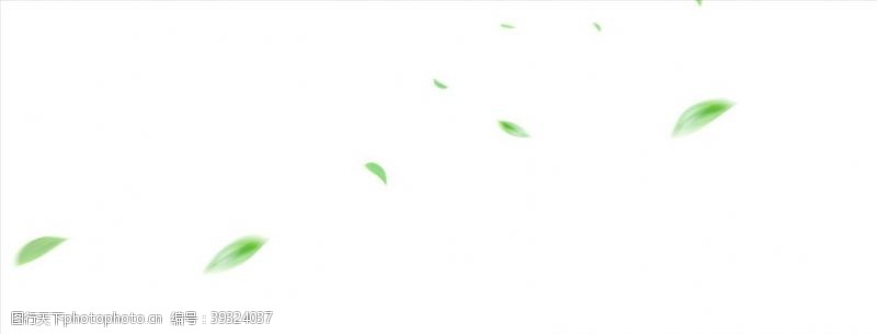 漂浮绿叶树叶图片