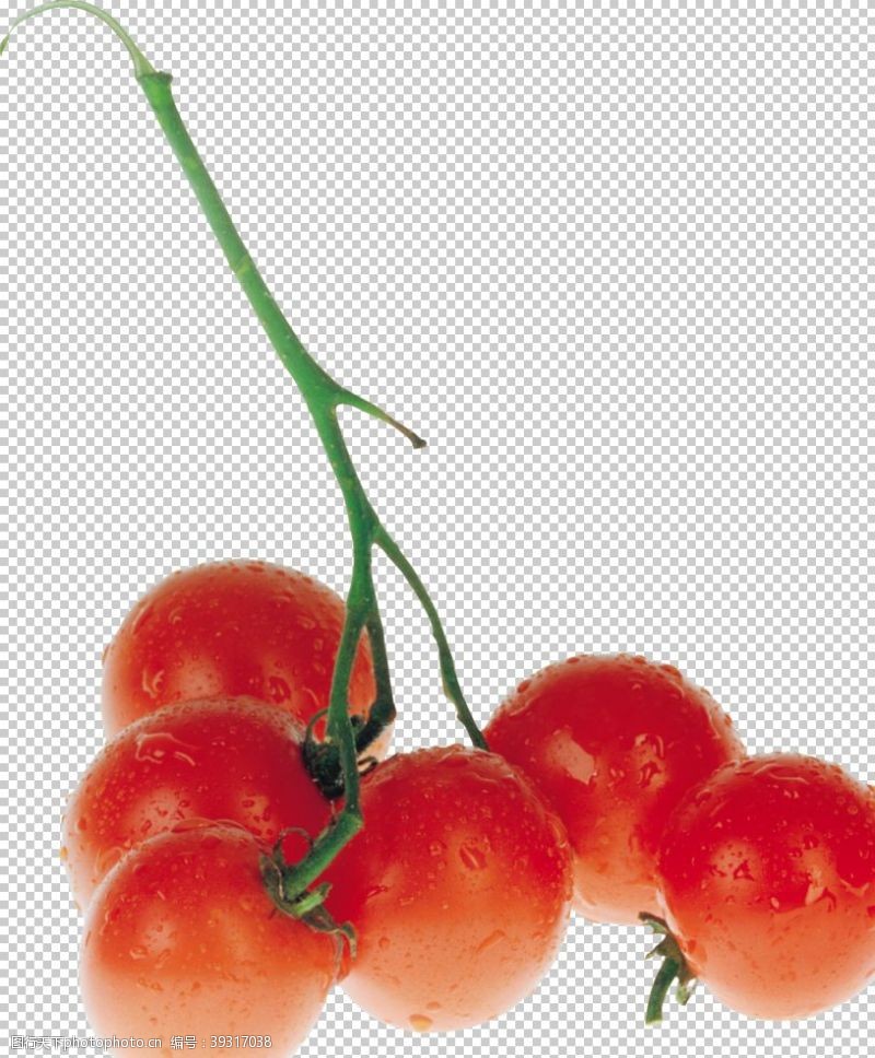蔬果底纹西红柿图片
