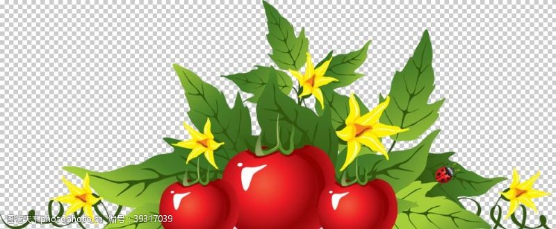蔬果底纹西红柿图片