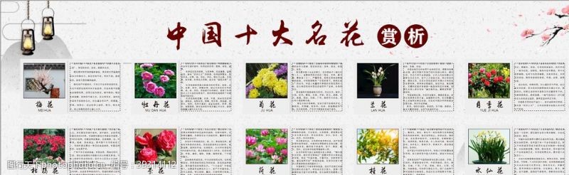 花卉名片中国十大名花赏析图片