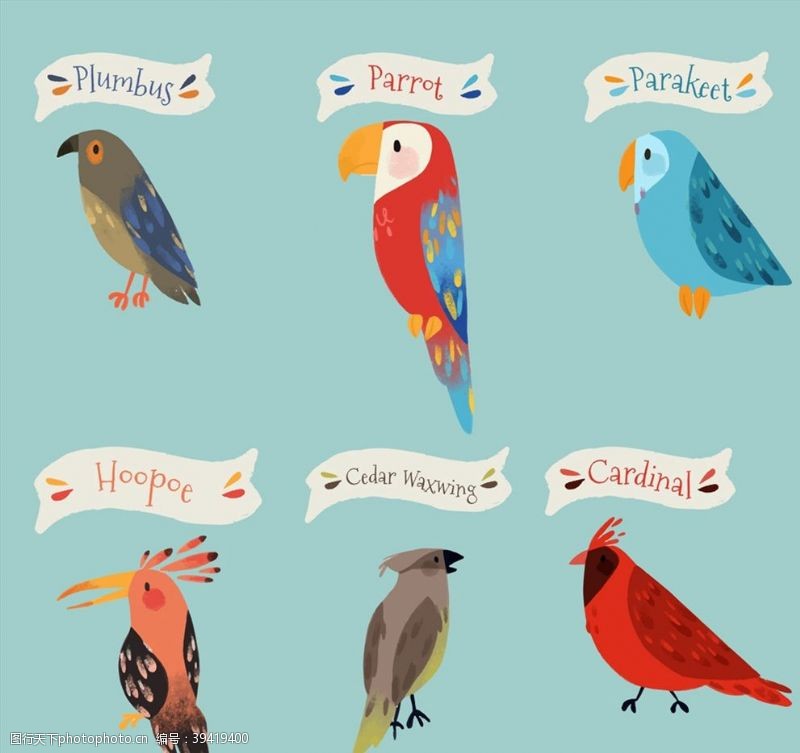 太平鸟标注名称的鸟类图片