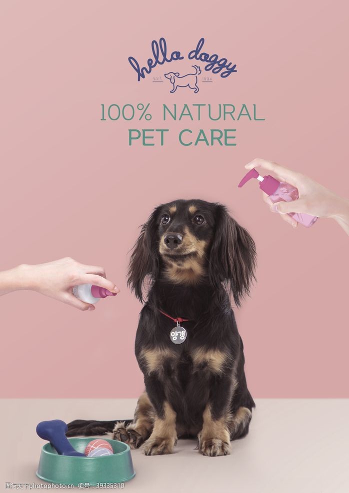 2018狗年宠物用品海报设计图片