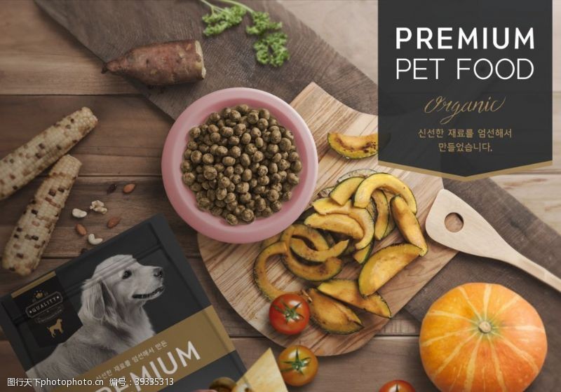 宠物商店宠物用品海报设计图片