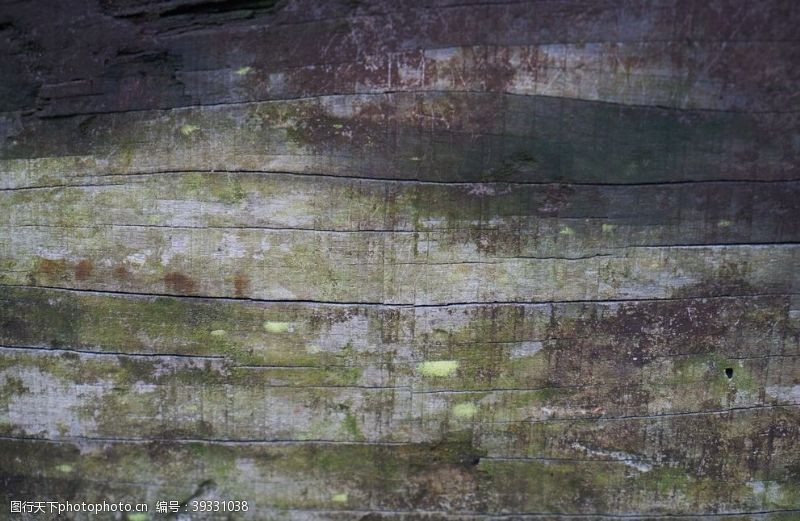 木贴皮木纹背景图片