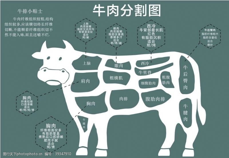 牛肉分割图图片