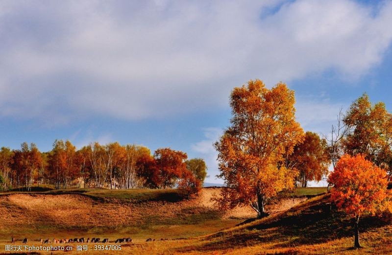 壮观的草原深秋时节的草原风景图片