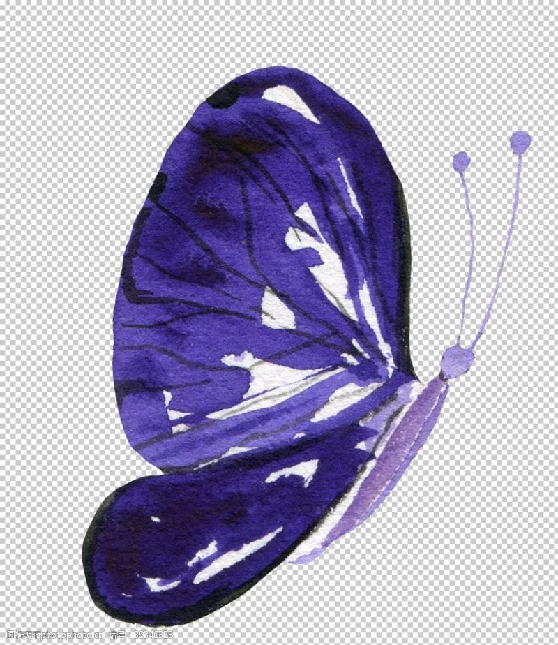 精美蝴蝶水彩绘画蝴蝶图案图片