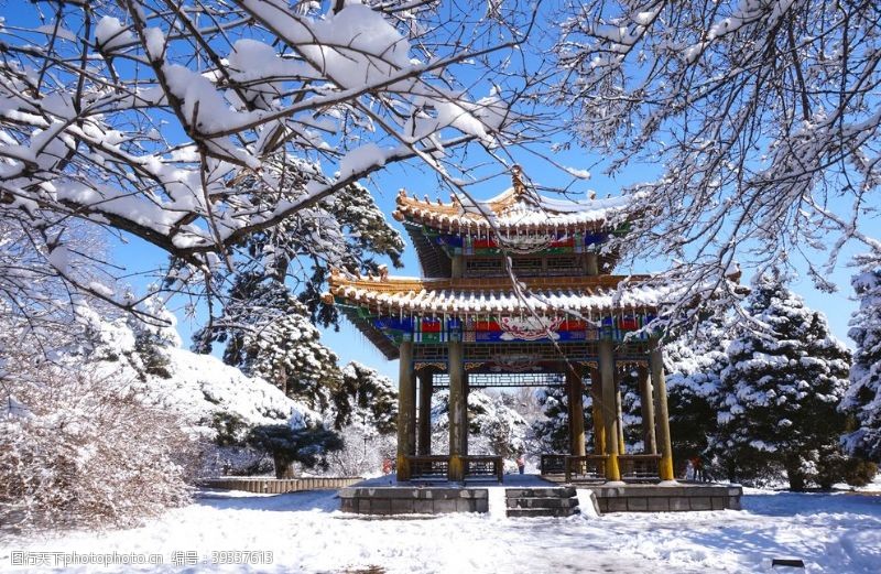 冰雪公主雪景图片