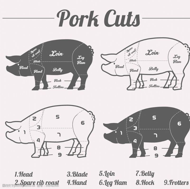 水果蔬菜图标美食猪手绘猪卡通猪图片