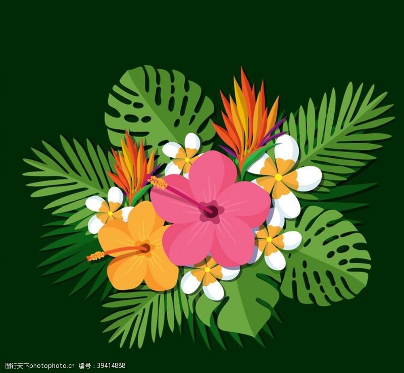 扶桑花扁平化热带花束图片