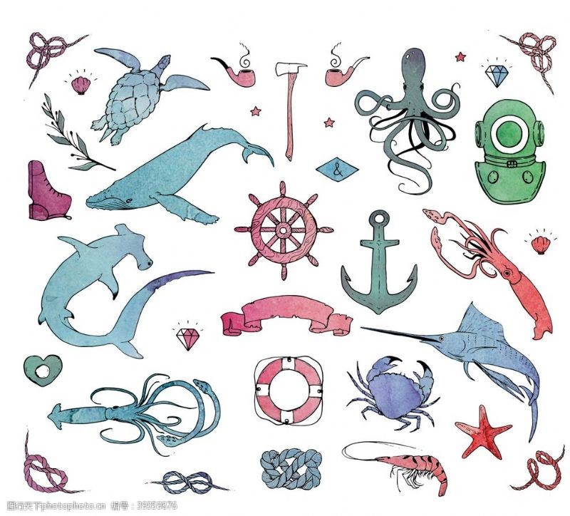 海底总动员彩绘海洋生物图片