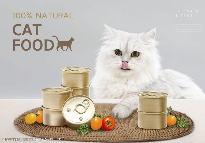 宠物粮食宠物用品海报设计图片