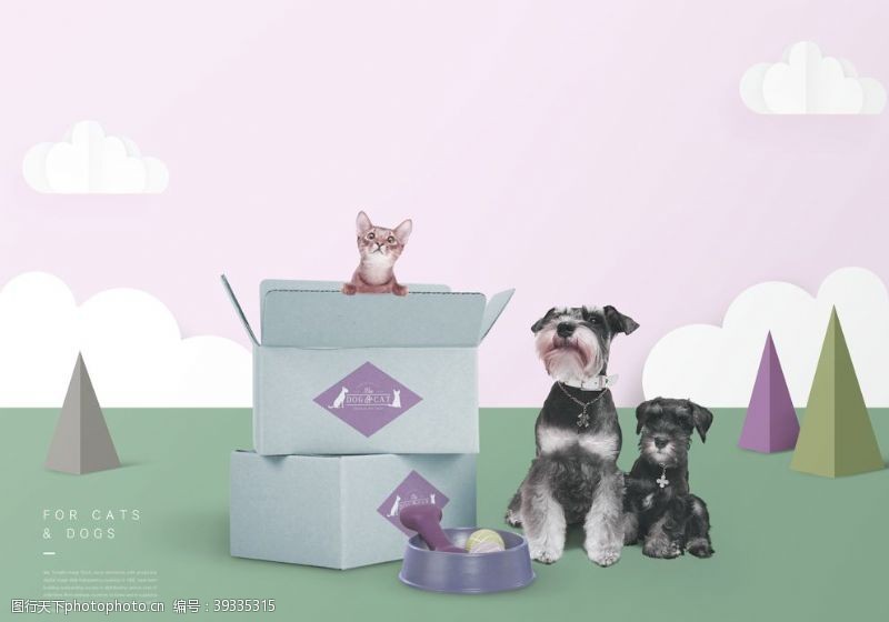 淘宝宠物店宠物用品海报设计图片
