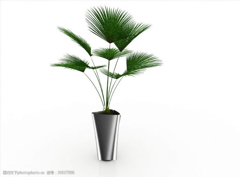 3d图库花草植物装饰花卉图片