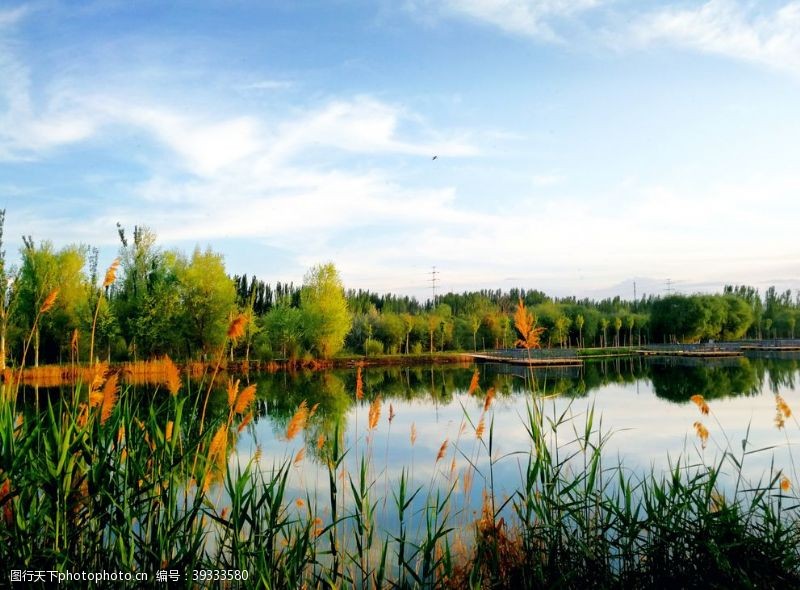 喀什北湖公园图片