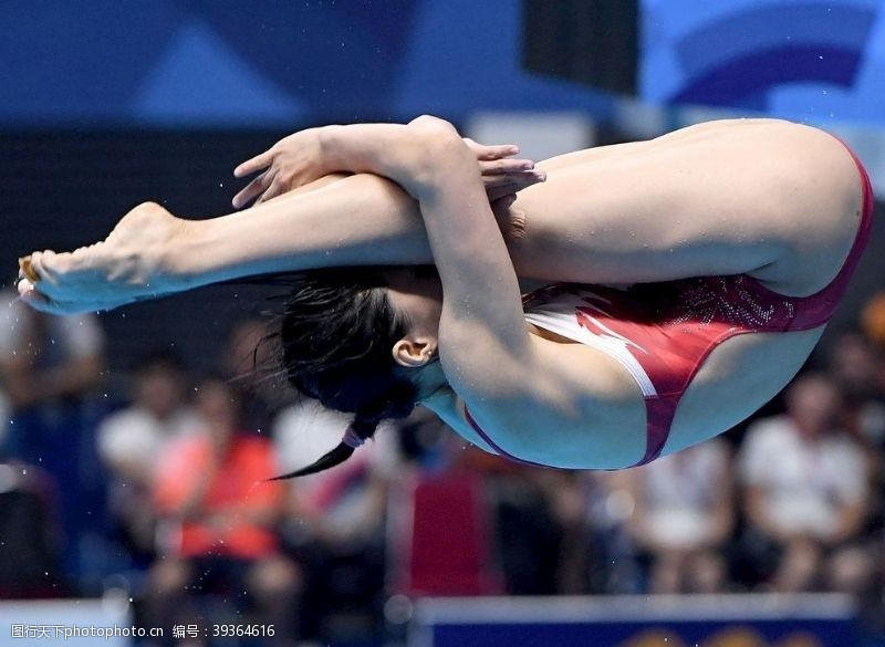 泳装女子跳水运动员图片