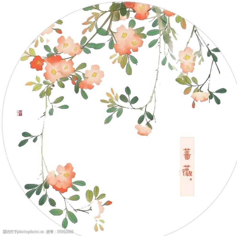 丝绸印花蔷薇花素材图片