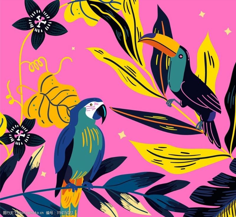 大树热带鹦鹉和大嘴鸟图片