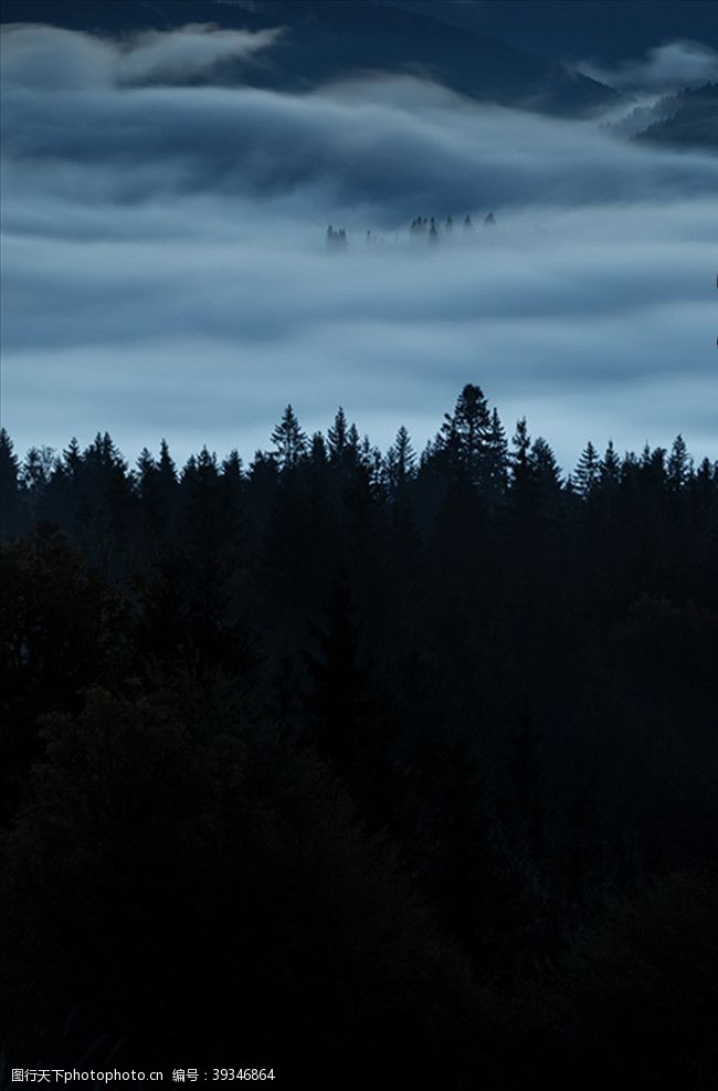 晨雾森林风景图图片