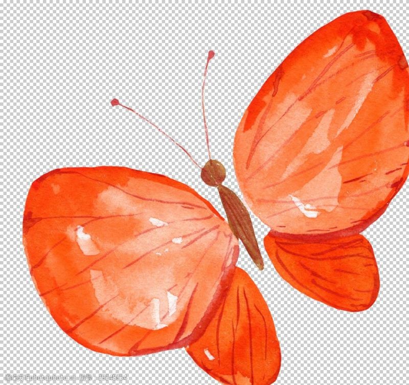 精美蝴蝶水彩绘画蝴蝶图案图片