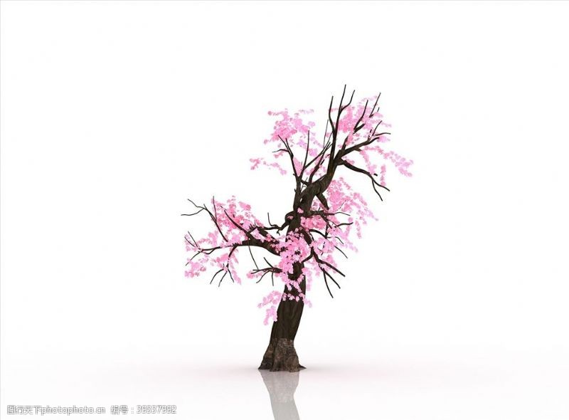 树木模型桃花树桃花装饰画3D立体图图片