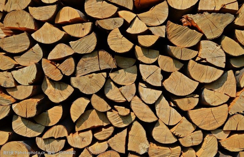 木料堆成堆码放的木柴图片