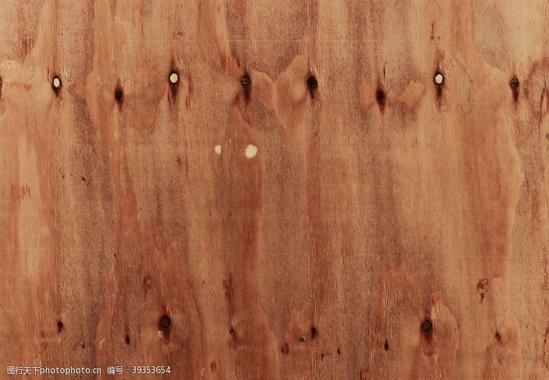 树年轮木纹背景图片