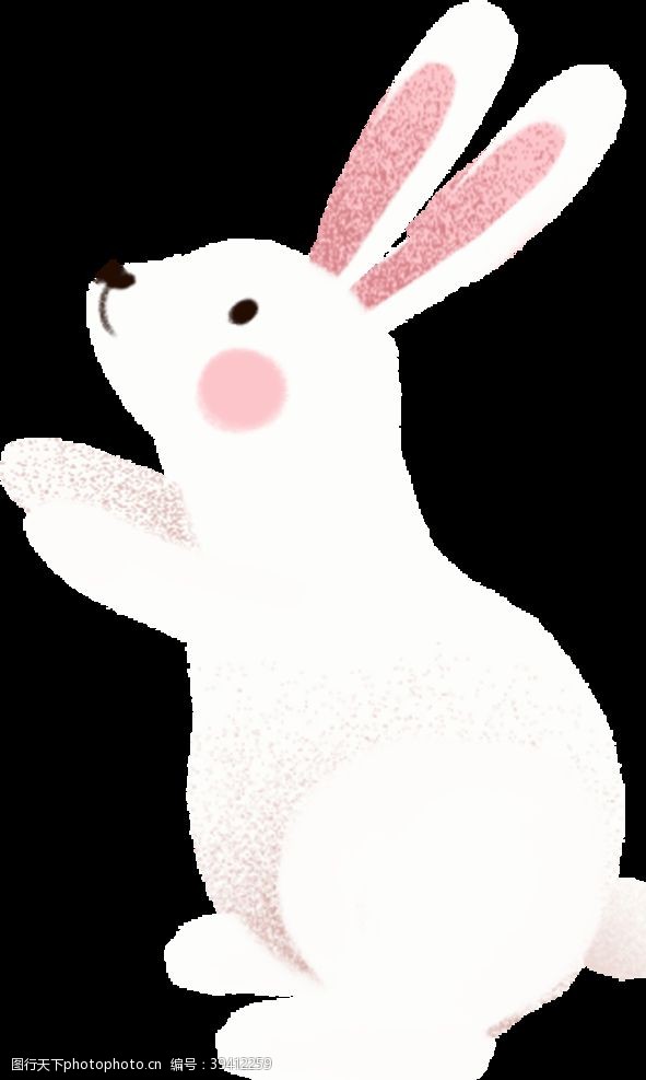 胶片插画兔子图片