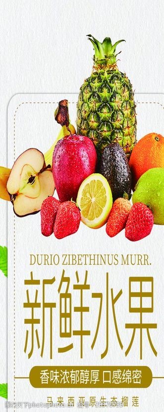 水果日历新鲜水果图片