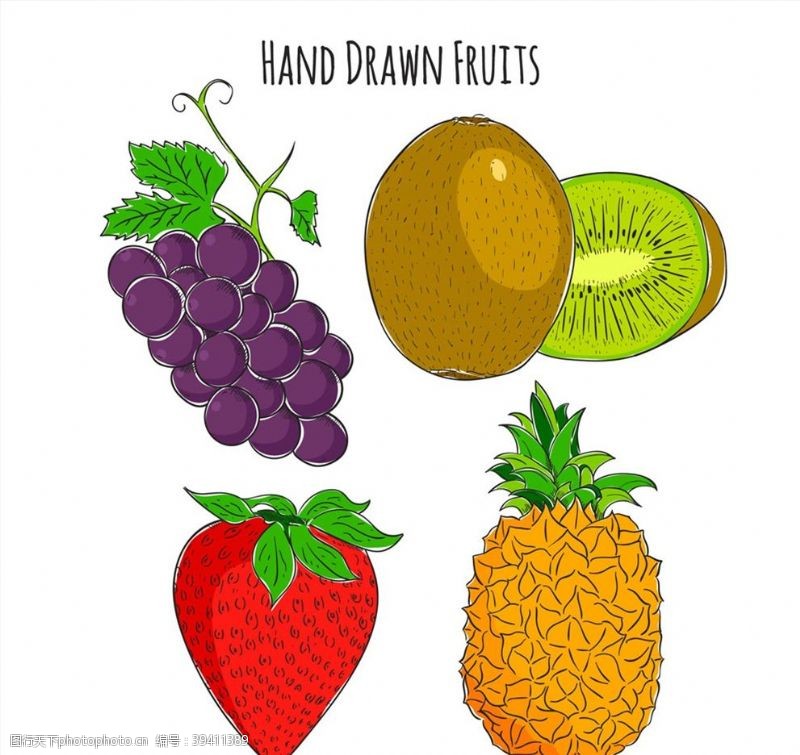猕猴桃广告彩色手绘水果图片