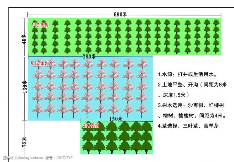 树苗绿化报价图图片