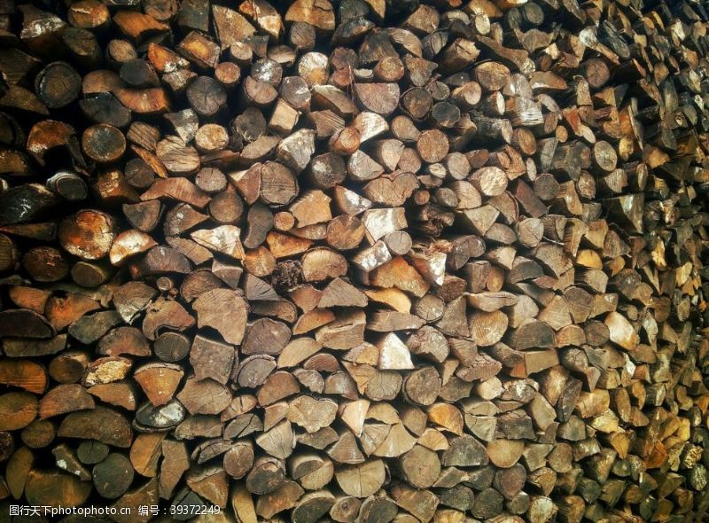 木质路面木材图片