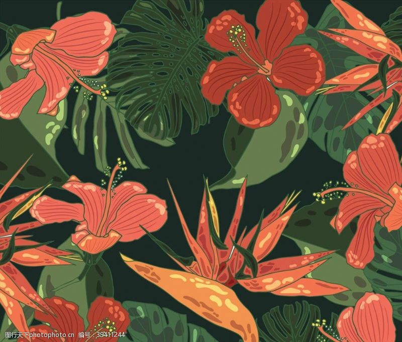 扶桑花热带花卉无缝背景图片