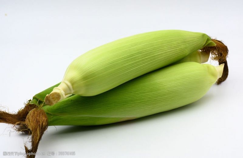 苞谷玉米图片