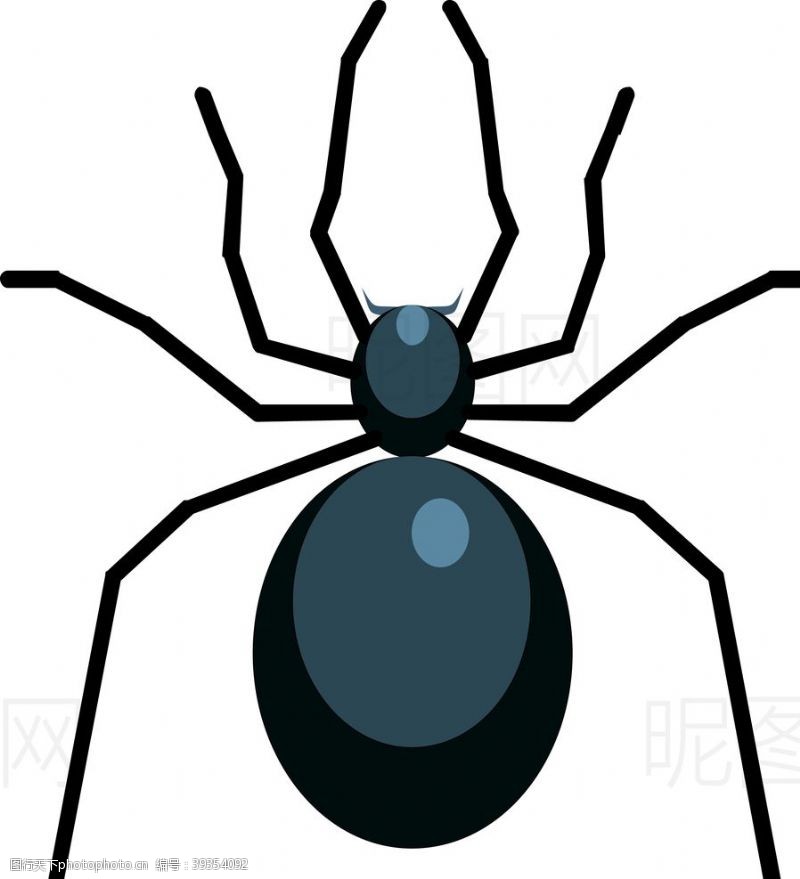 网页设计元素蜘蛛图片