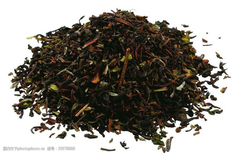 春茶新茶茶图片