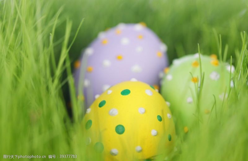 复活草装饰复活节鸡蛋春天的草图片